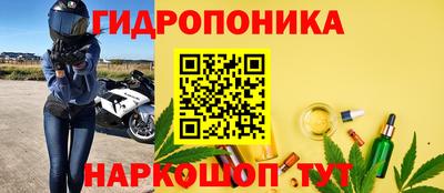 прущие крисы Гатчина