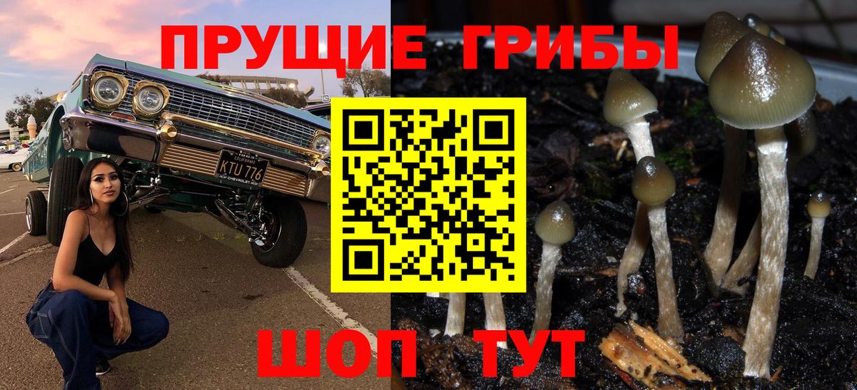 Галлюциногенные грибы GOLDEN TEACHER Гурьевск