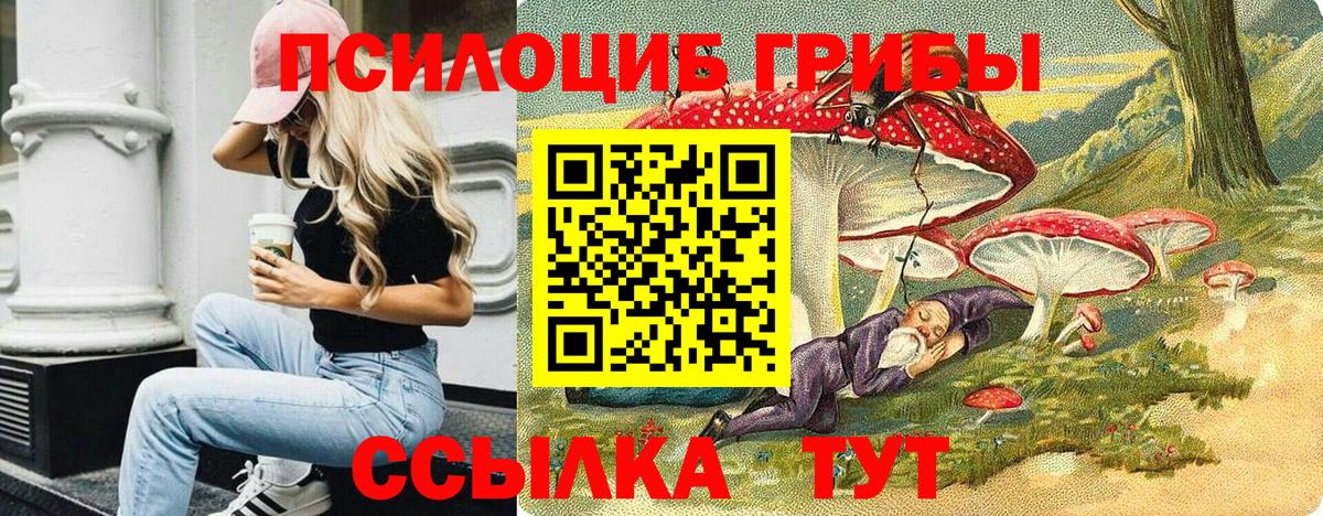 Марихуана Гурьевск